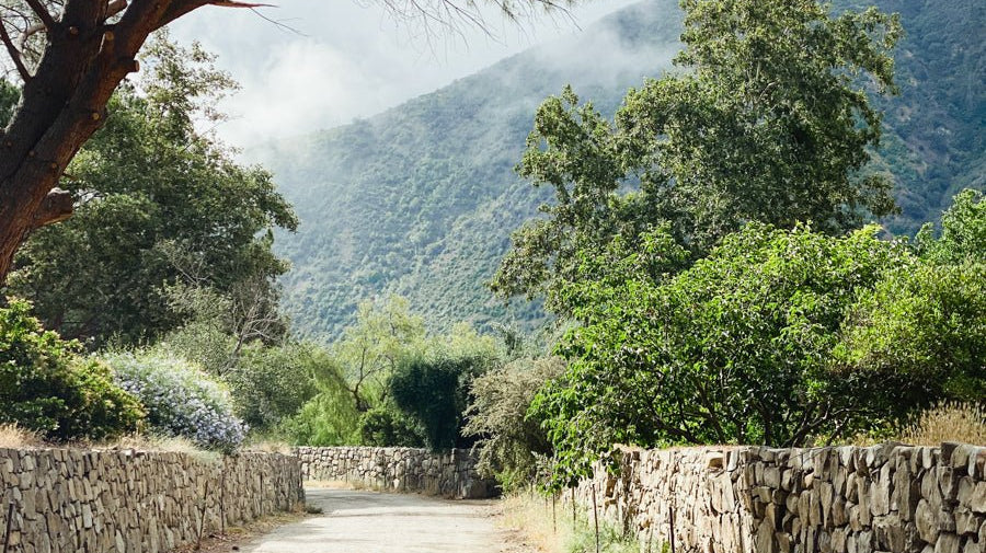 36 Hours in Ojai - elsie green