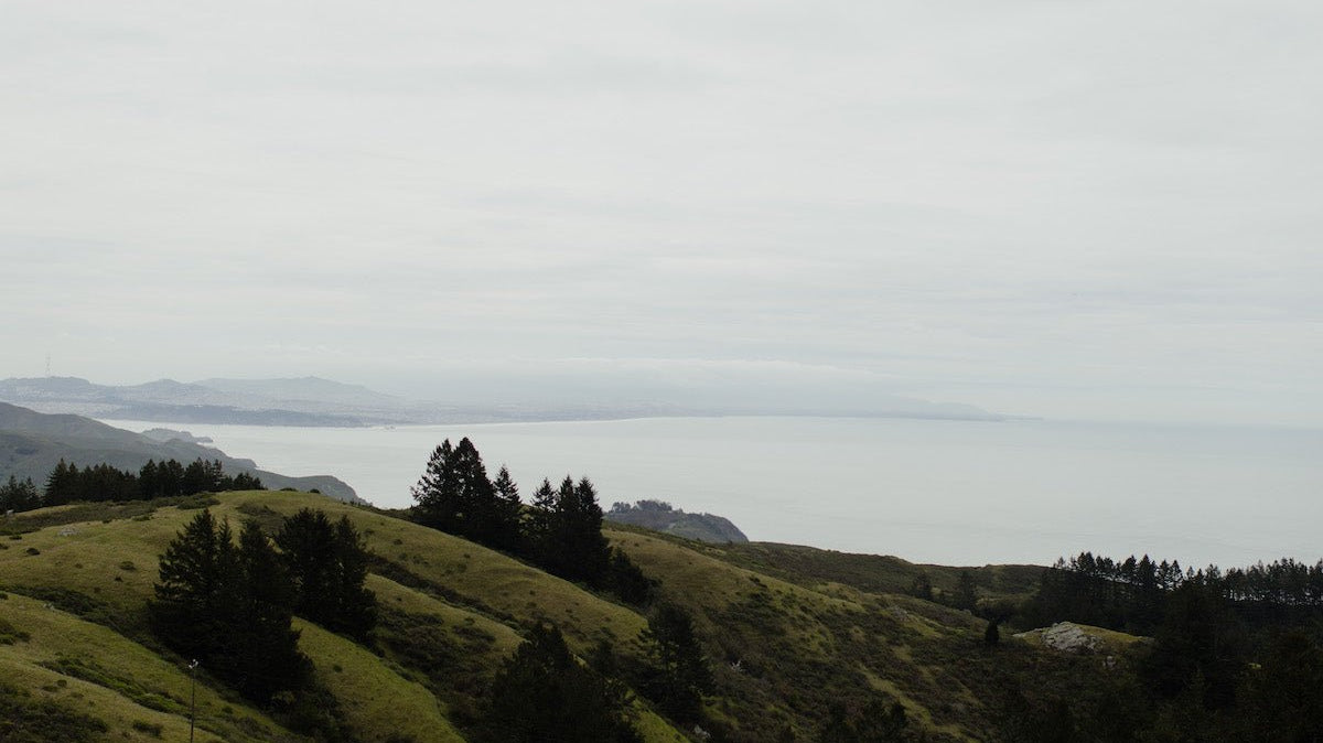 48 Hours In Stinson Beach - elsie green