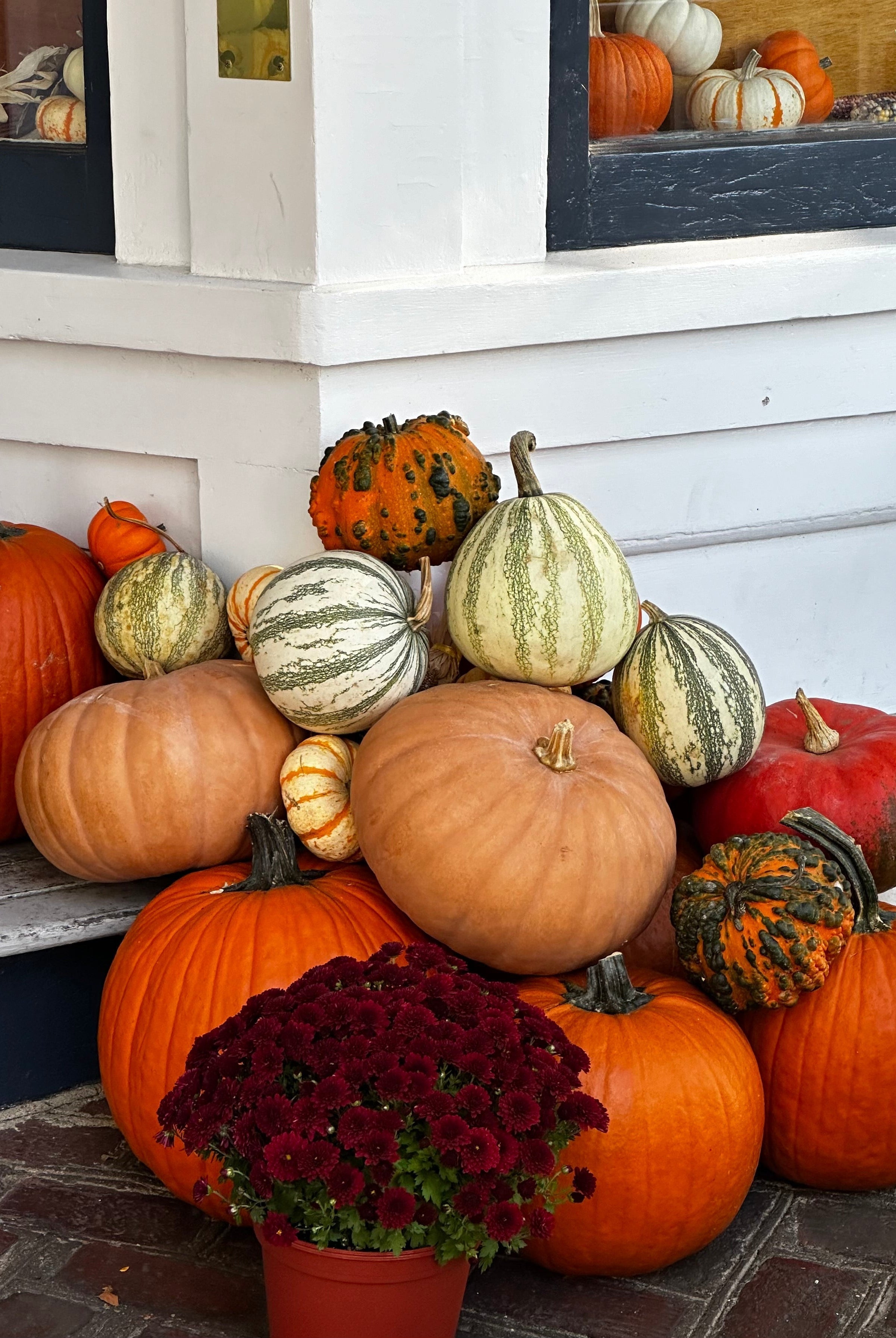 Past Due Pumpkins | What to Do With Yours After the Season Ends
