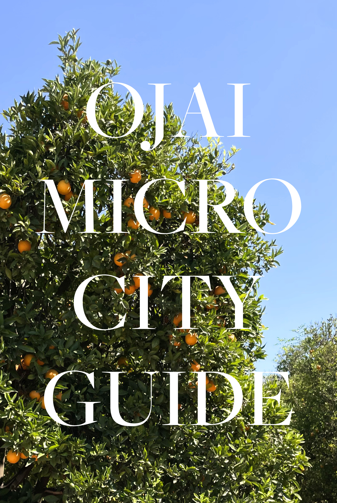 Micro City Guide | Ojai