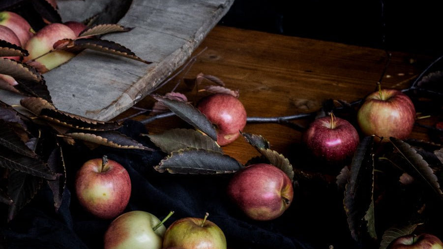 A Conversation with Aran Goyoaga of Cannelle et Vanille - elsie green