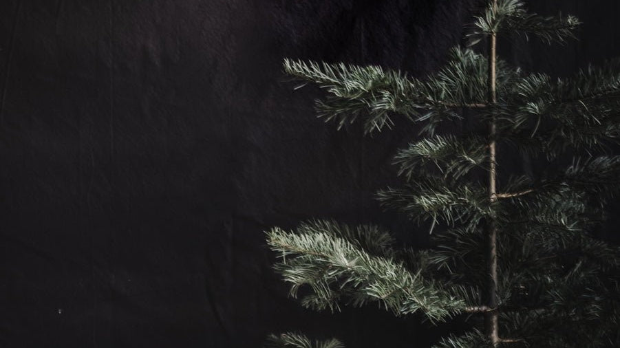 A Meditation on Tradition - elsie green