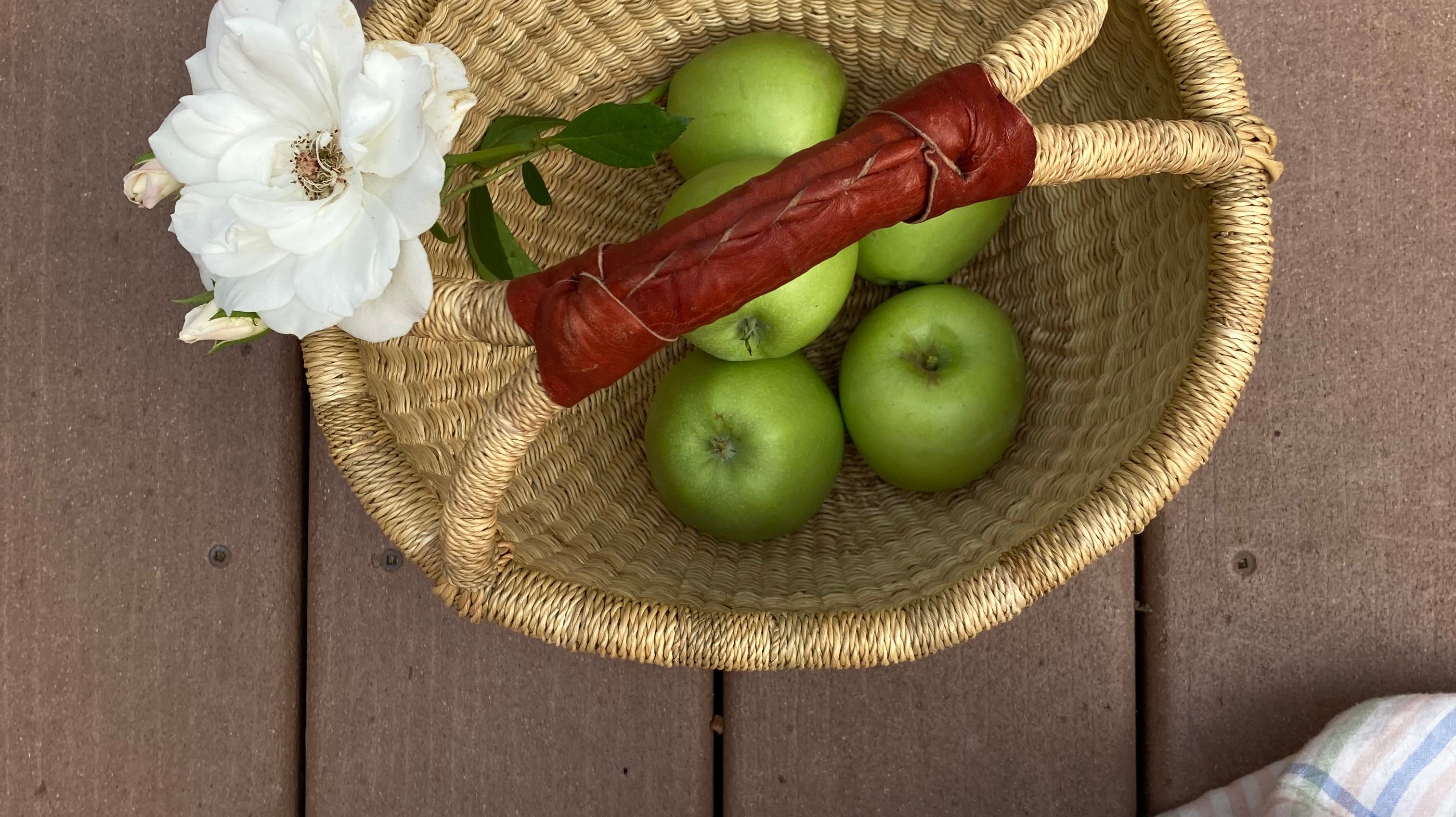 Both Hands in the Earth | Gardening with Anna - elsie green