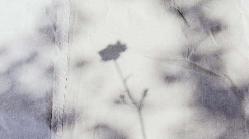 Capturing Moments in Time | Photography with Kelsey - elsie green