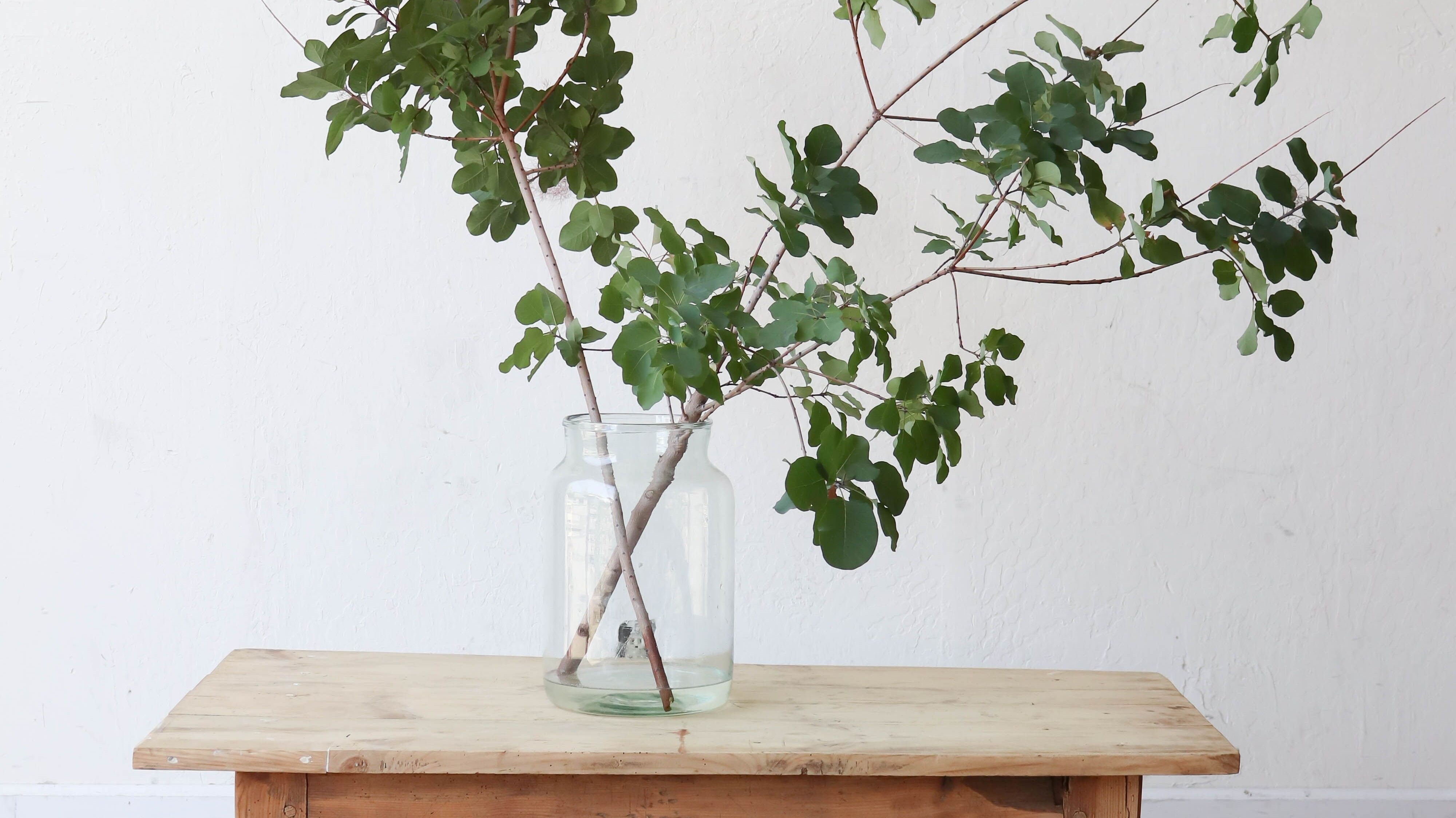 Caring for Your Reclaimed Wood Coffee Table - elsie green