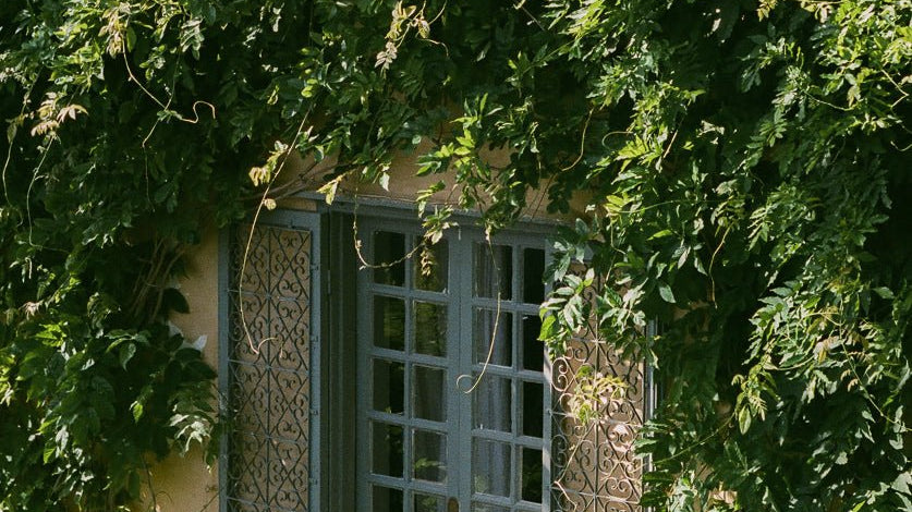 Checking In | Mimi Calpe - elsie green