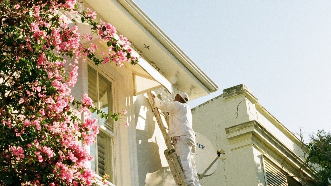 City Guide | Cape Town - elsie green