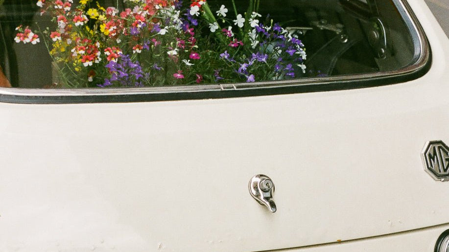 City Guide | Lyon - elsie green