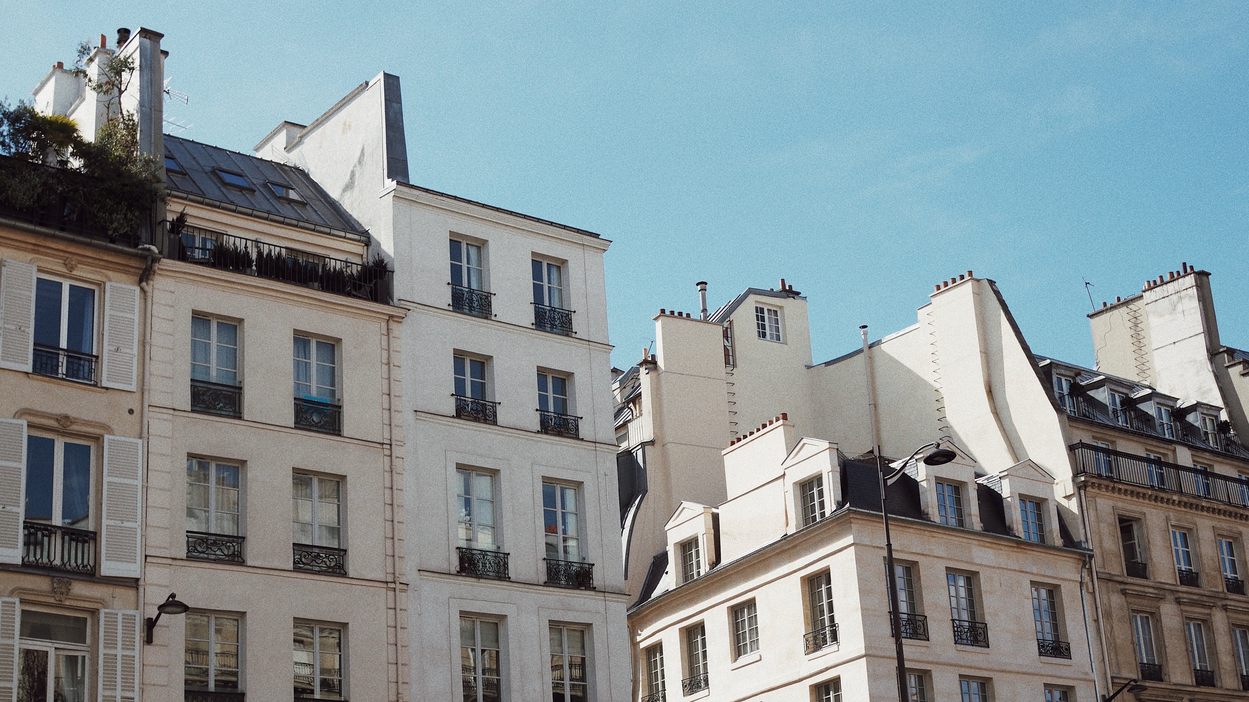 City Guide | Paris - elsie green