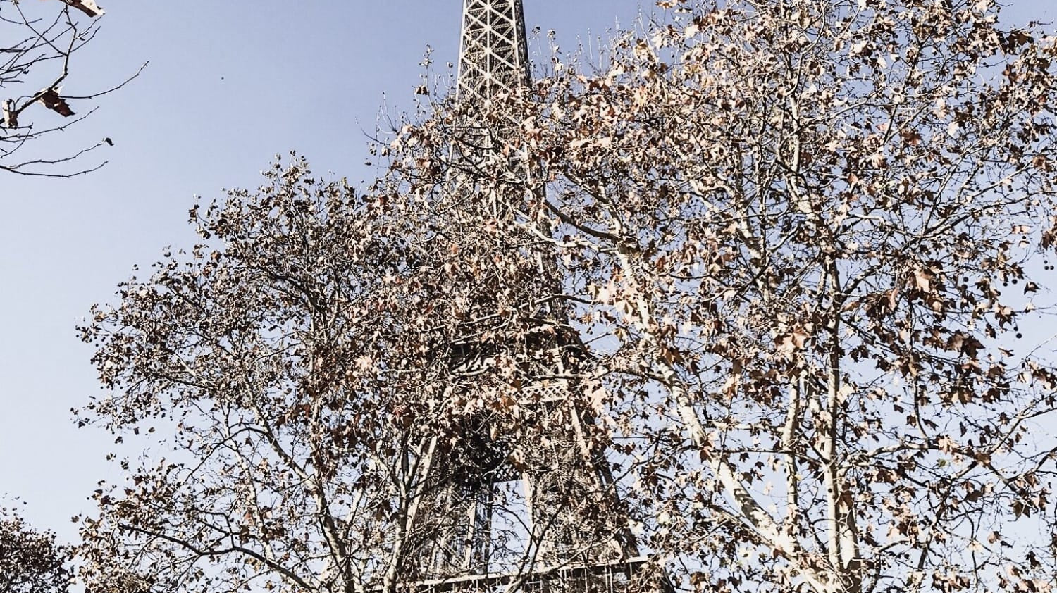 City Guide: Paris - elsie green