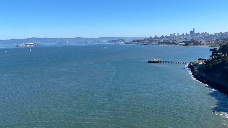 EG x c'est beau chez toi | French Thanksgiving - elsie green