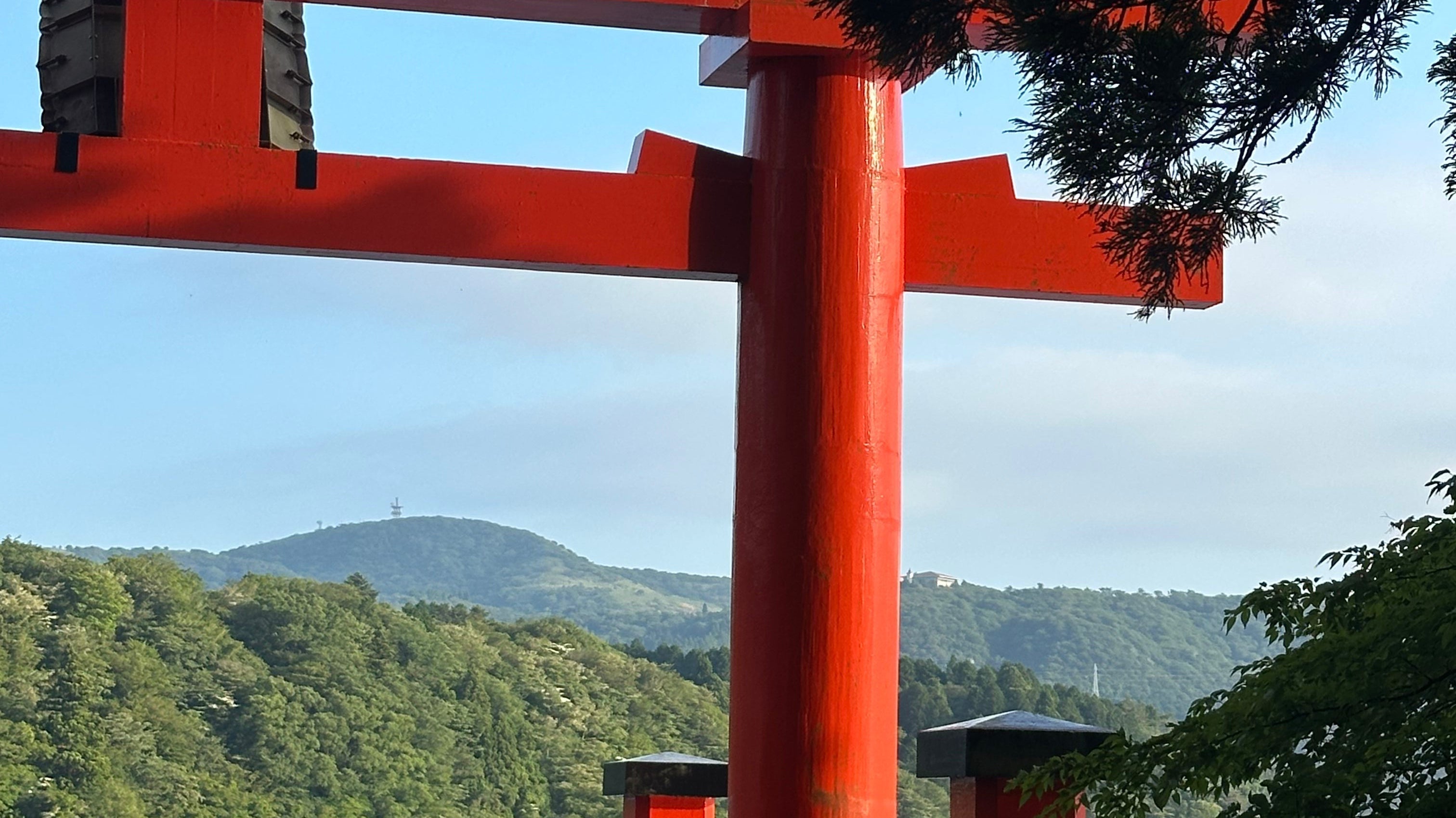 Elsie's Eight | June Edition - elsie green