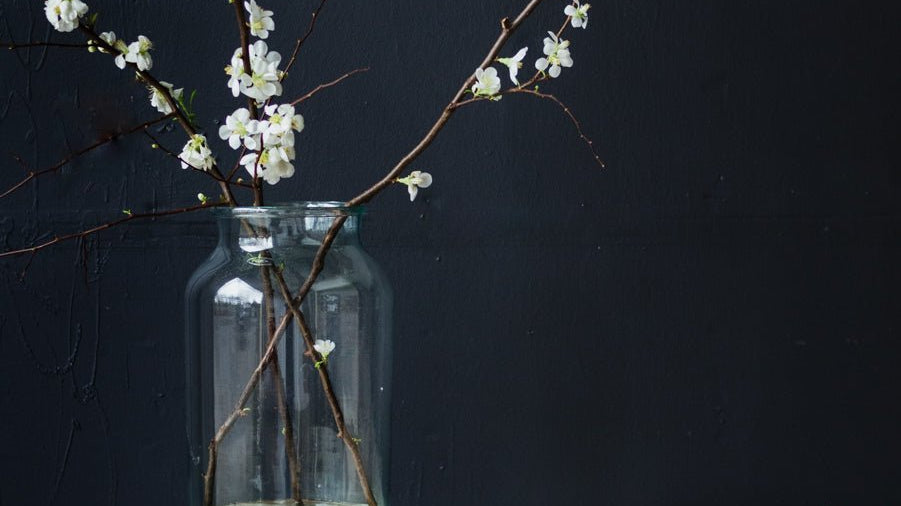 Elsie's Eight | March Edition - elsie green