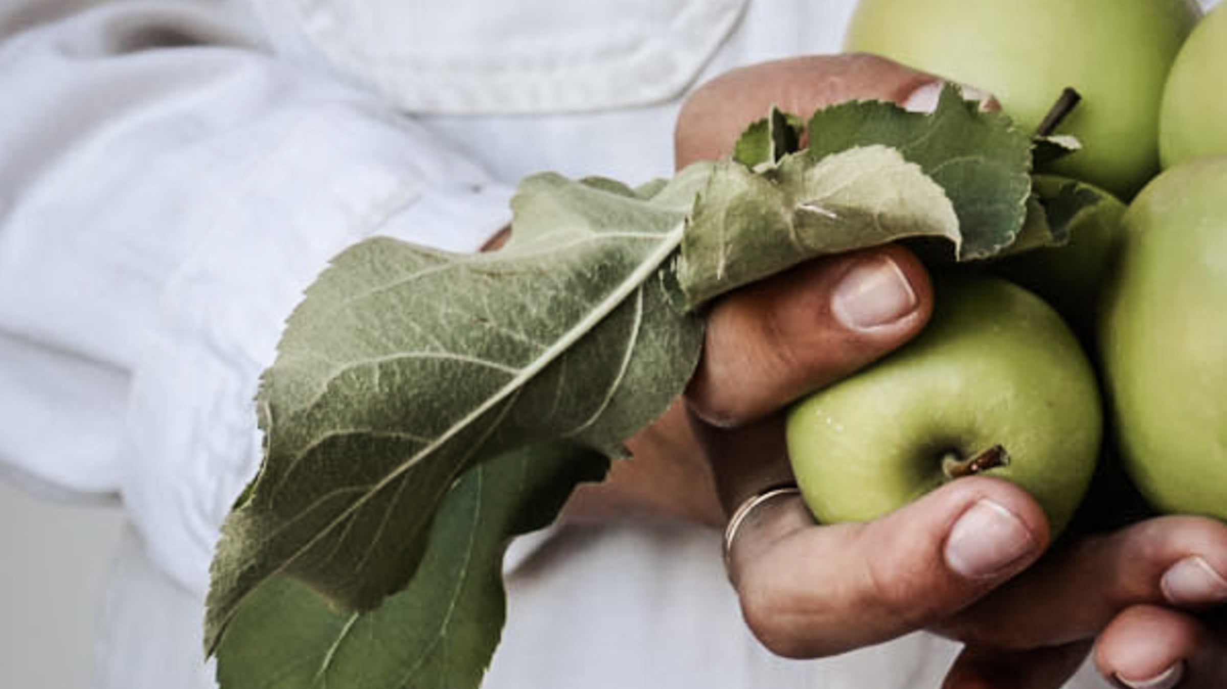 Elsie's Eight | October Edition - elsie green