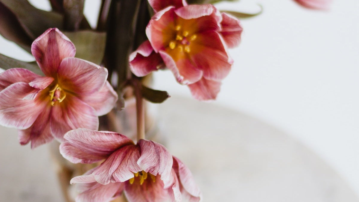 Elsie's Eight | Valentine's Edition - elsie green