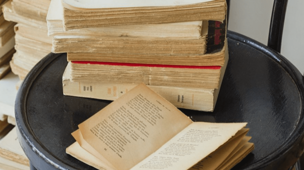 Elsie's Library | Fall 2020 Reading List - elsie green