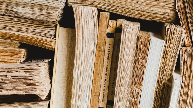 Elsie's Library | Spring 2020 Reading List - elsie green