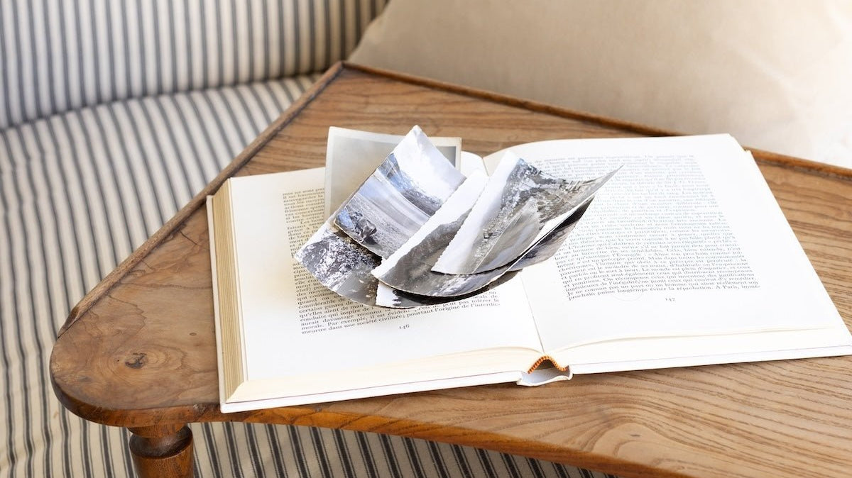 Elsie's Library | Summer 2021 Reading List - elsie green