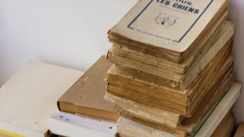 Elsie's Library | Winter Reading List - elsie green