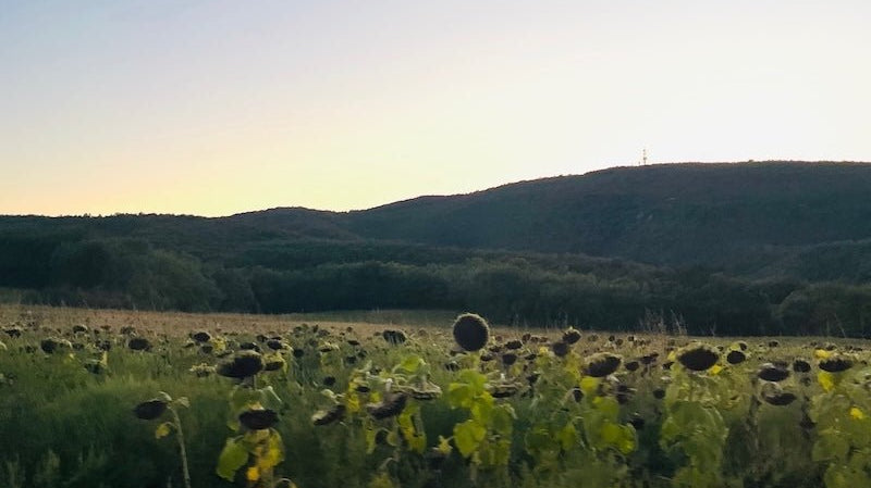 European Dispatch | Fall in the French Countryside - elsie green