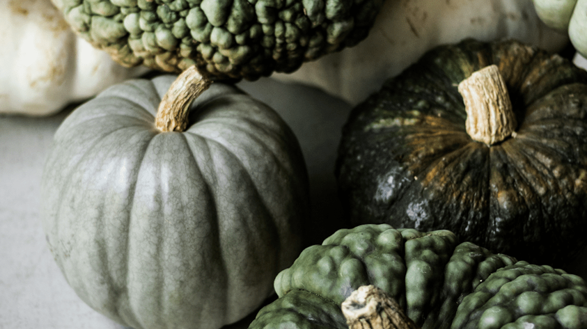 Fall Film Festival - elsie green