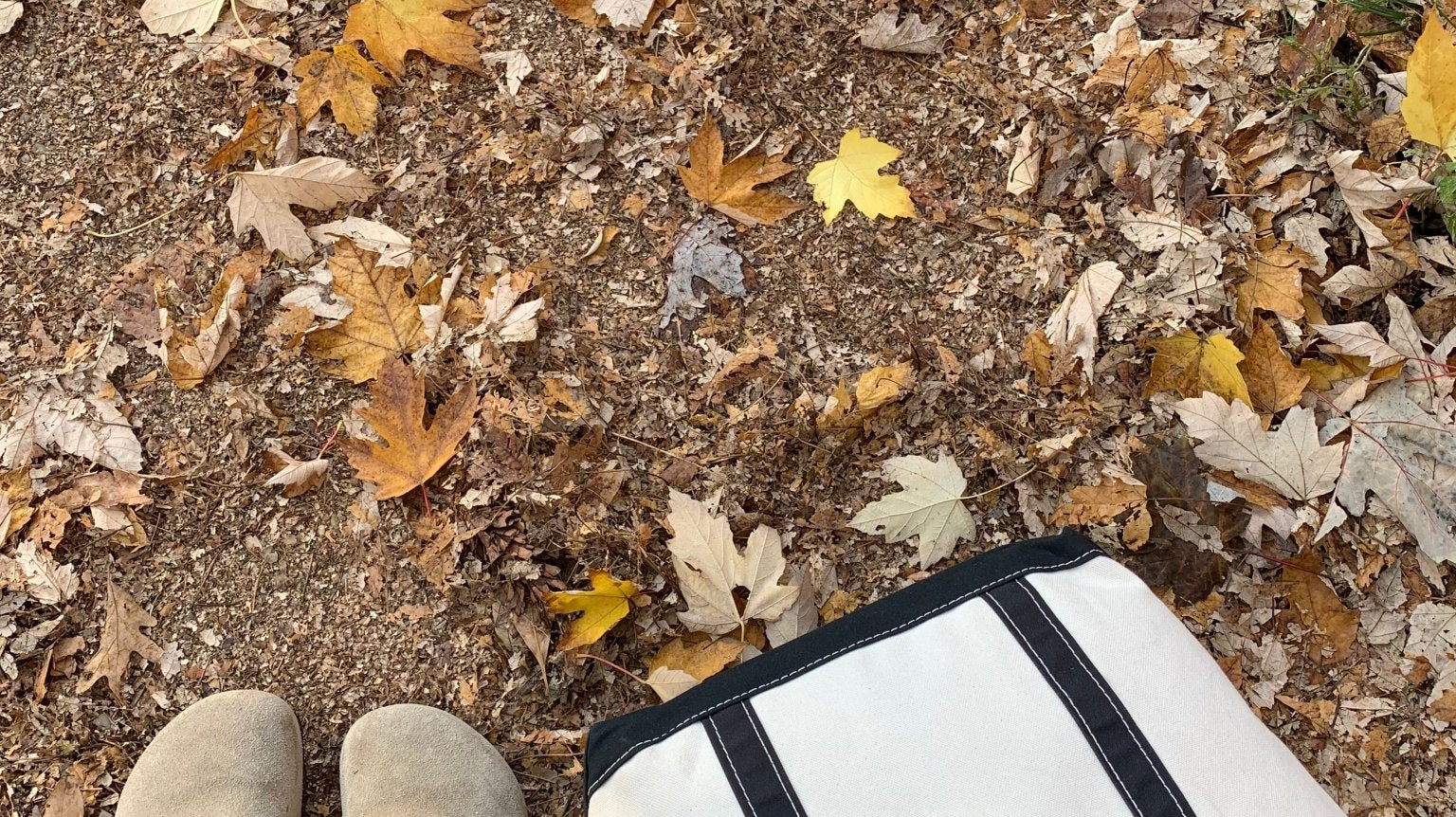 Fall Trends | Mules - elsie green