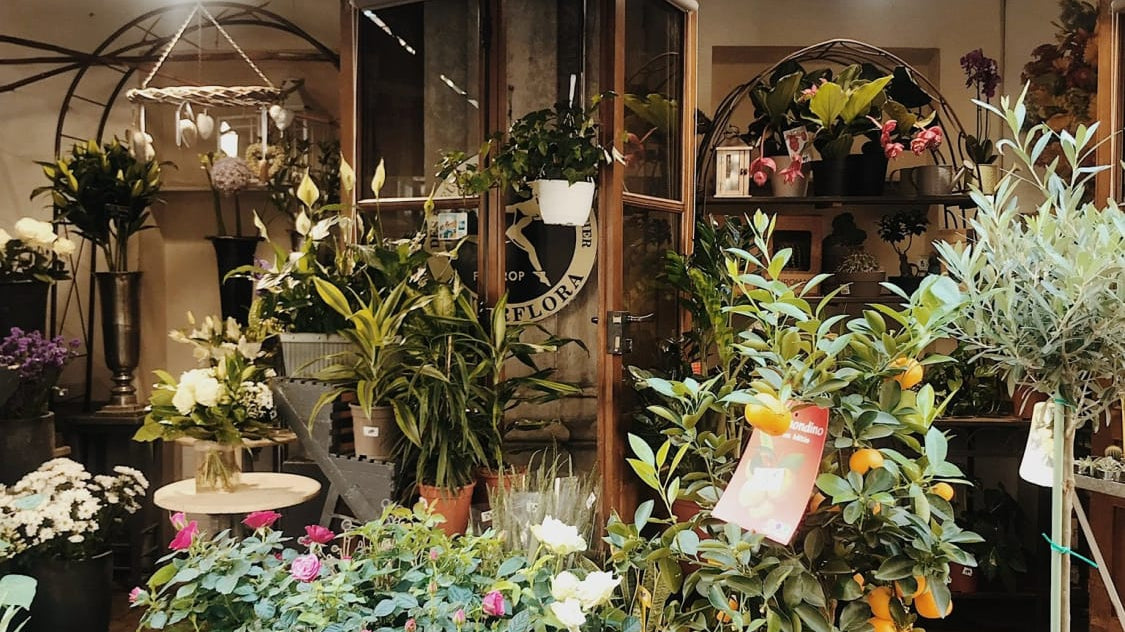 From the Archives | Grasshopper Summer, An Unexpected Reward - elsie green