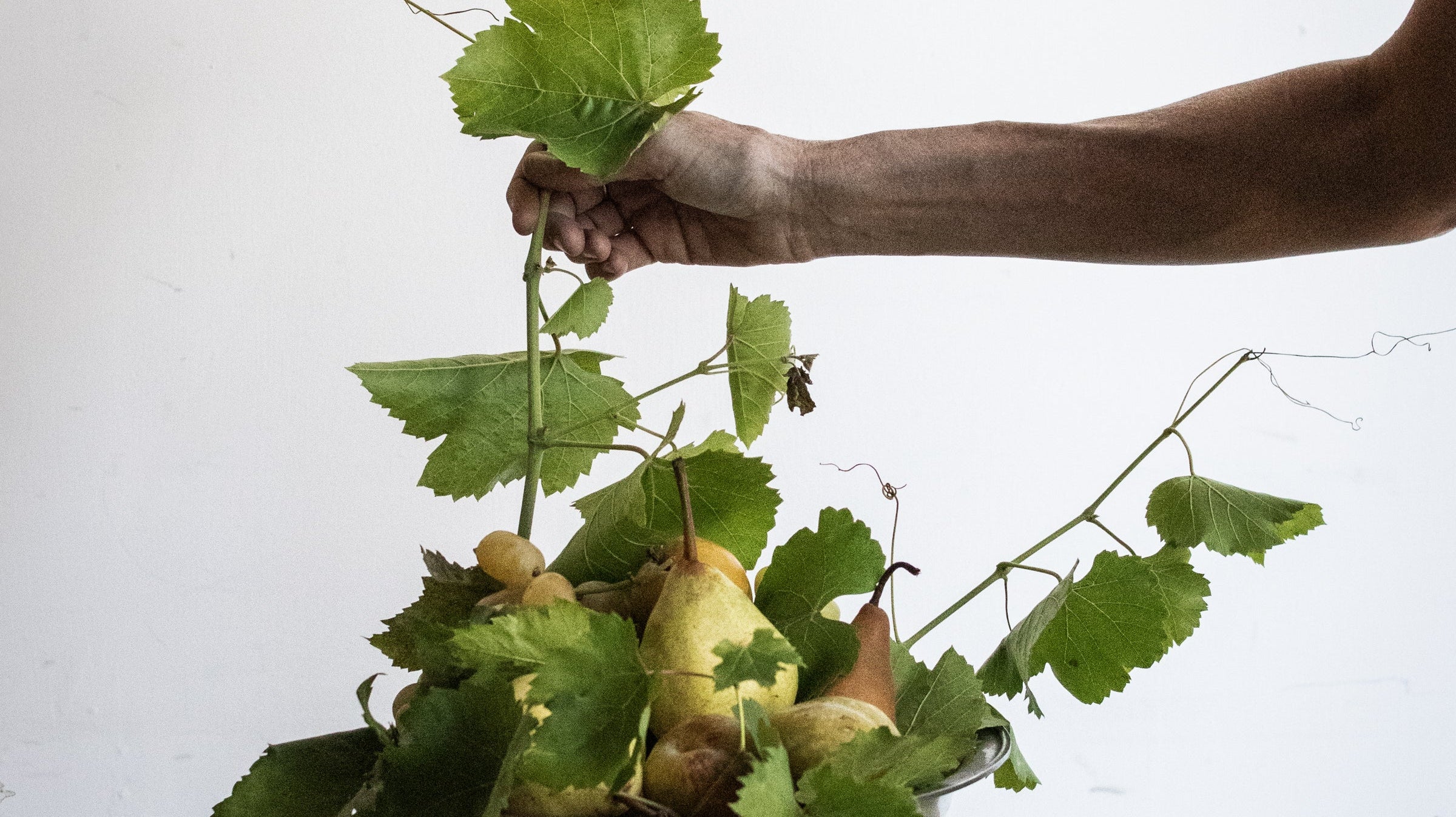 Give Thanks | Grateful Traditions - elsie green