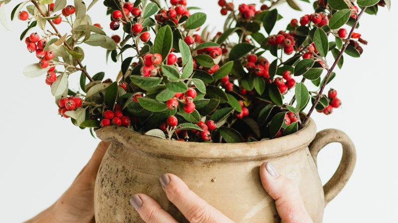 Holiday Gift Edit | Friends With Beautiful Taste - elsie green