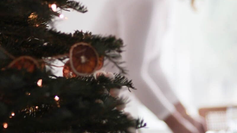JP's Tips on Choosing the Perfect Tree - elsie green