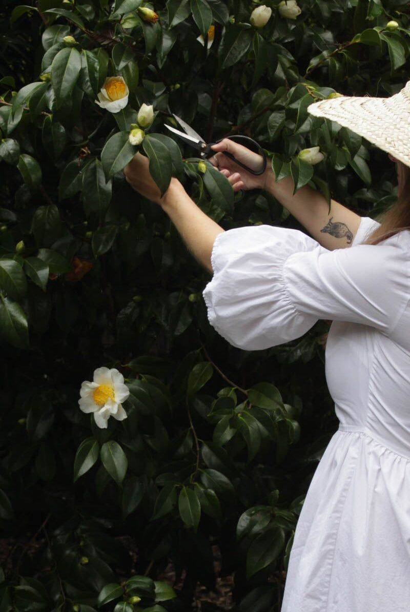 Shop Girl Fashion | In My Garden Era