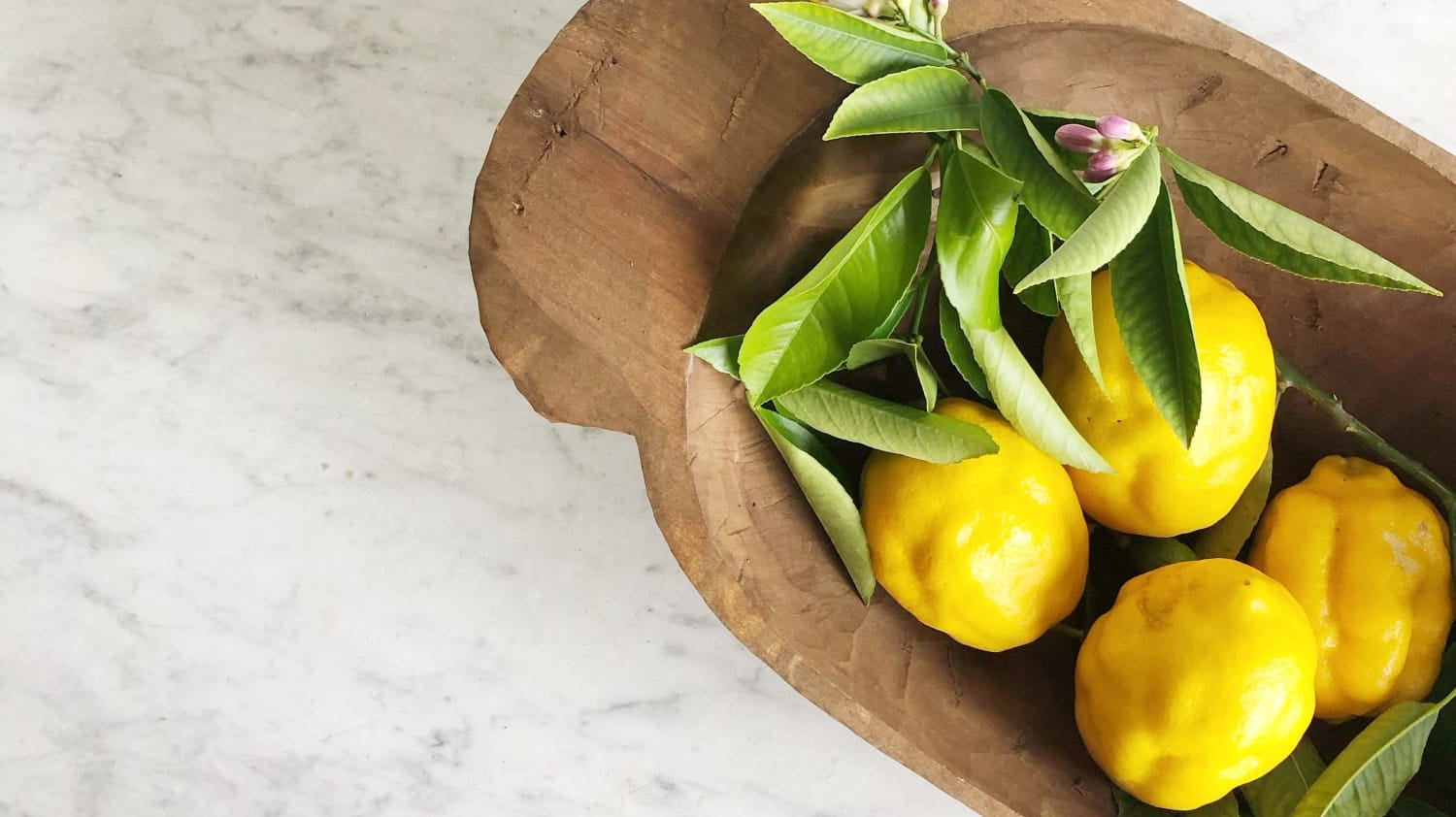 Lavender Lemon Spritzer S'il Vous Plait - elsie green