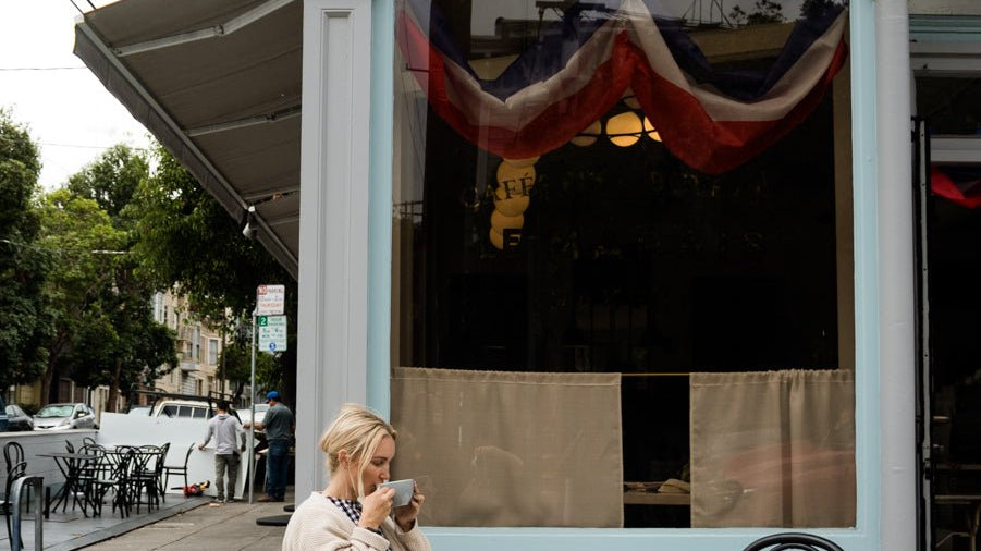 Lessons from Solitude - elsie green