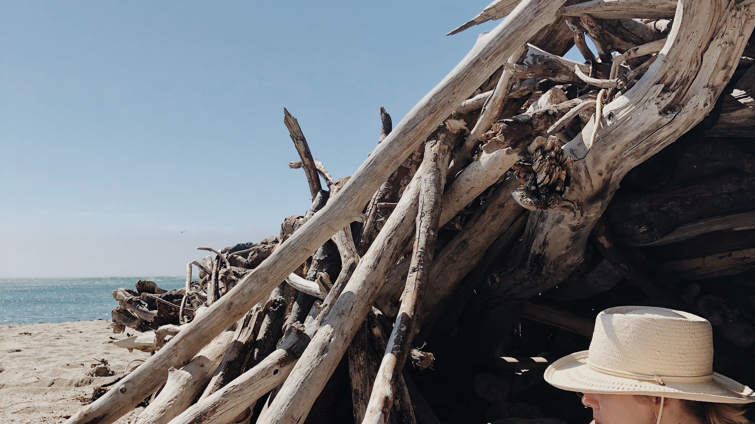 Meet The Team | Megan - elsie green