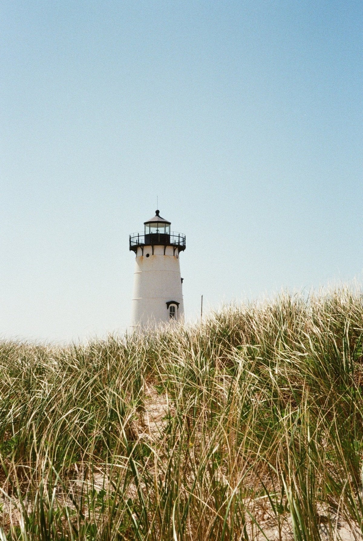 Micro City Guide | Martha's Vineyard - elsie green