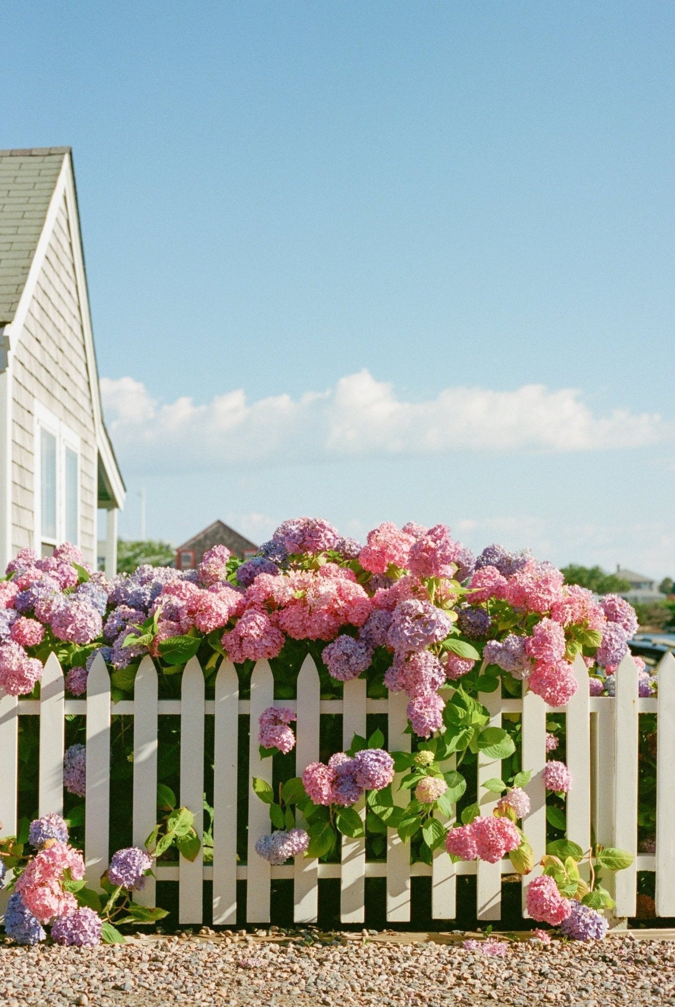 Micro City Guide | Nantucket - elsie green
