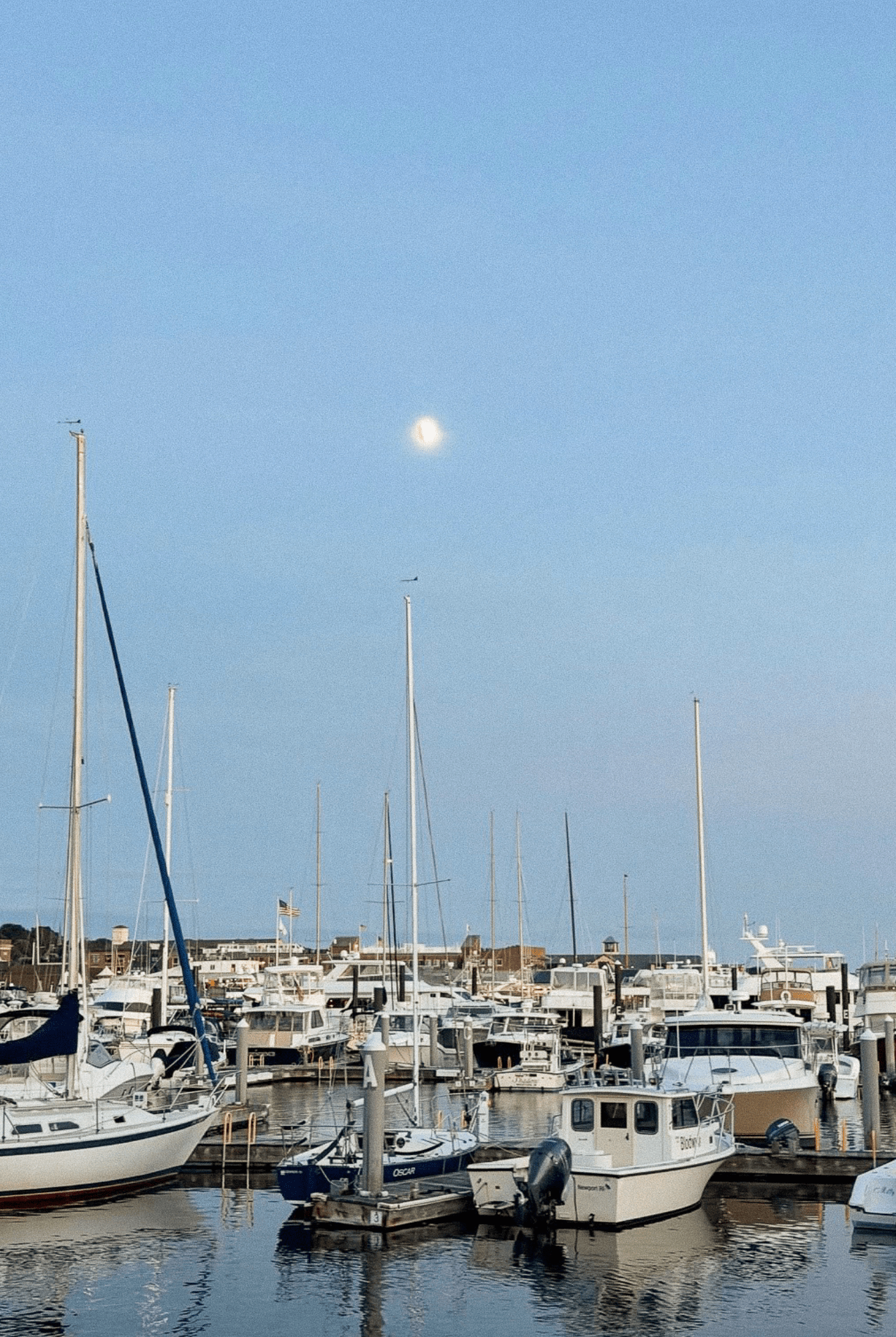 Micro City Guide | Newport - elsie green