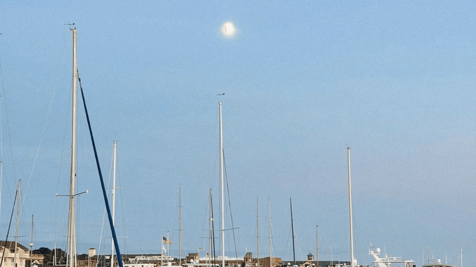 Micro City Guide | Newport - elsie green