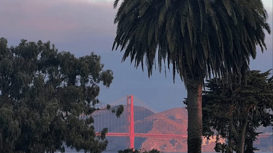 Micro City Guide | SF - elsie green