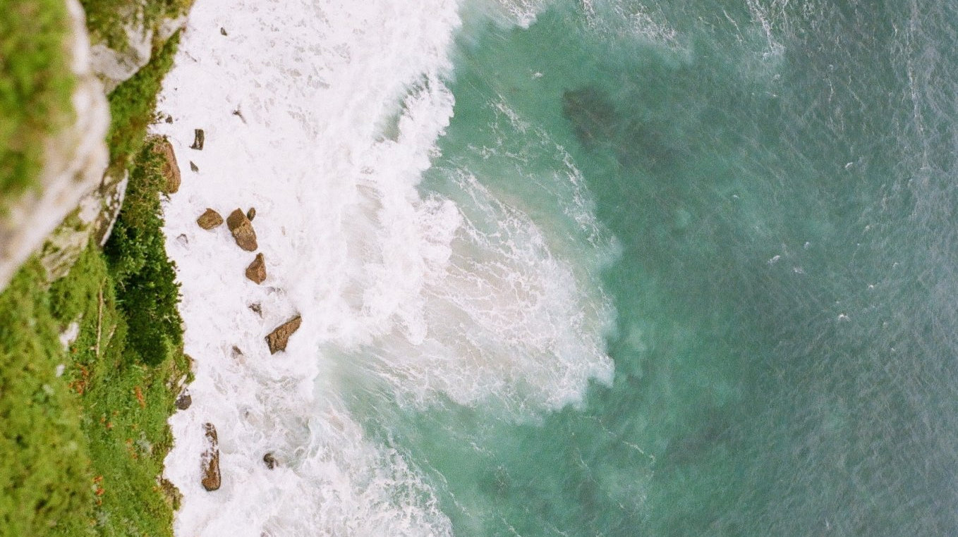 Photo Essay | Cape Peninsula, South Africa - elsie green