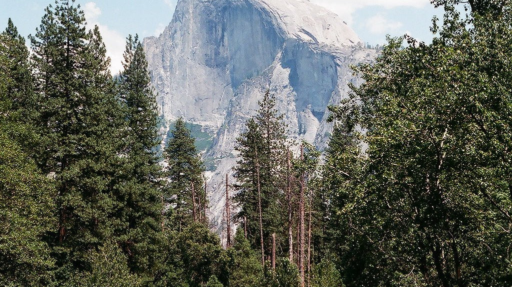 Photo Essay | Yosemite on Film - elsie green