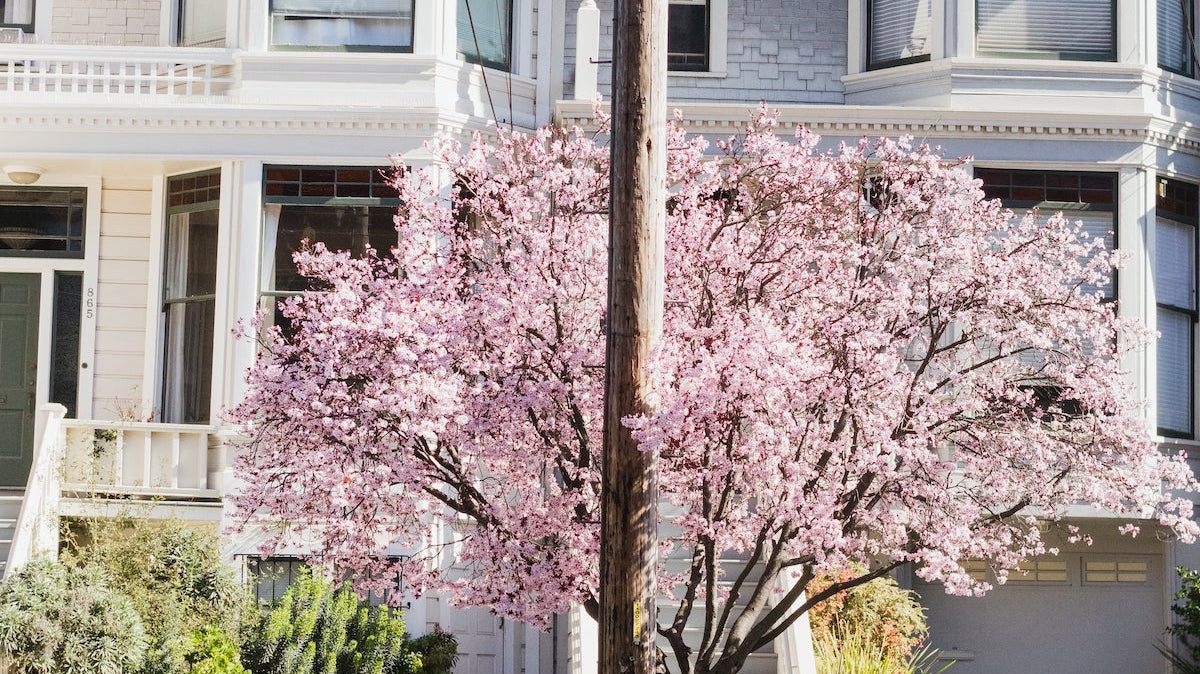 Playing Tourist - elsie green