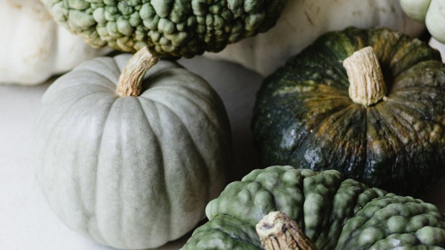 Press Play | Fall Mood - elsie green