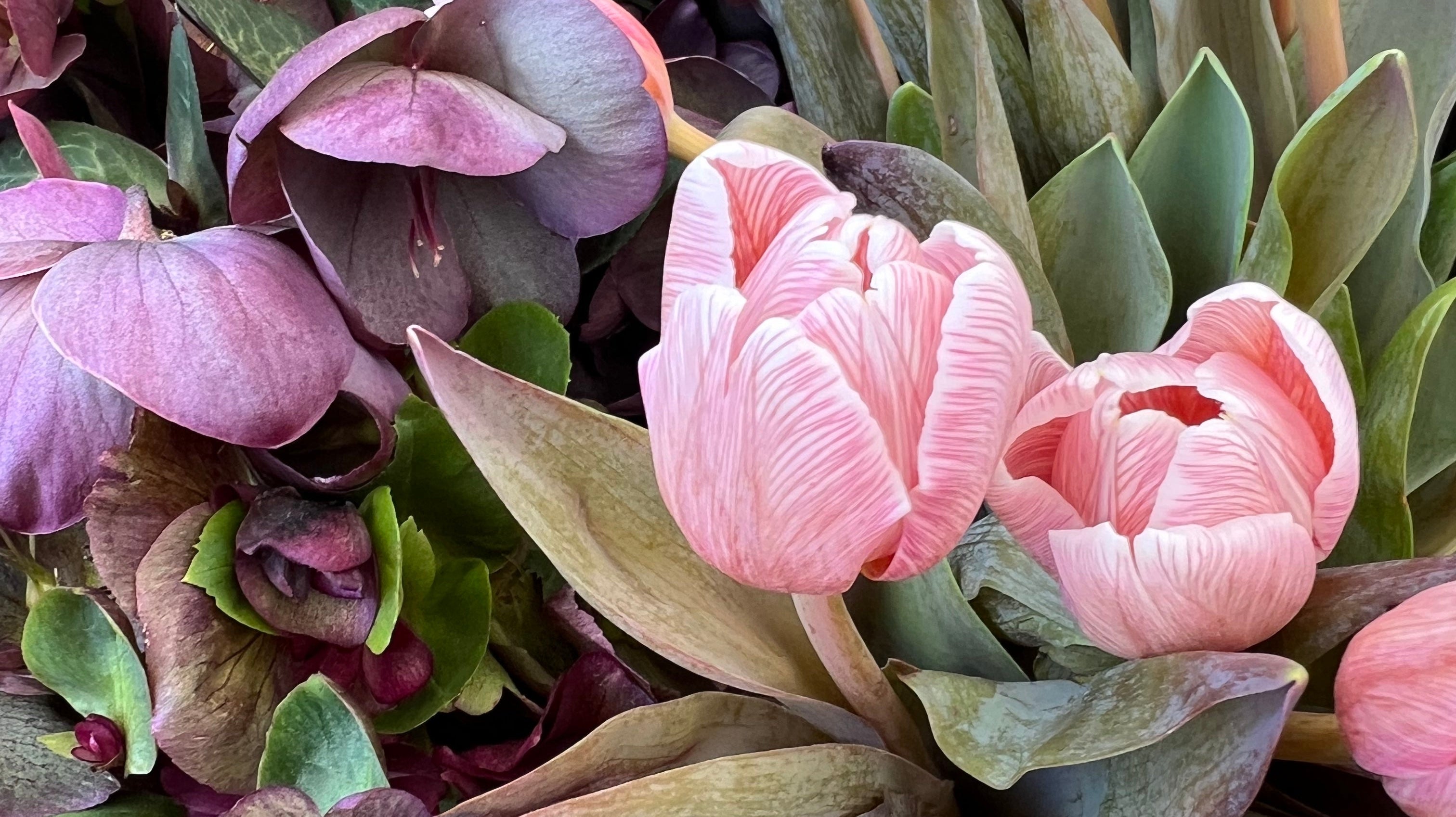 Press Play | Spring Forward - elsie green