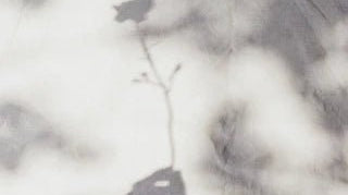 Press Play | Summer - elsie green