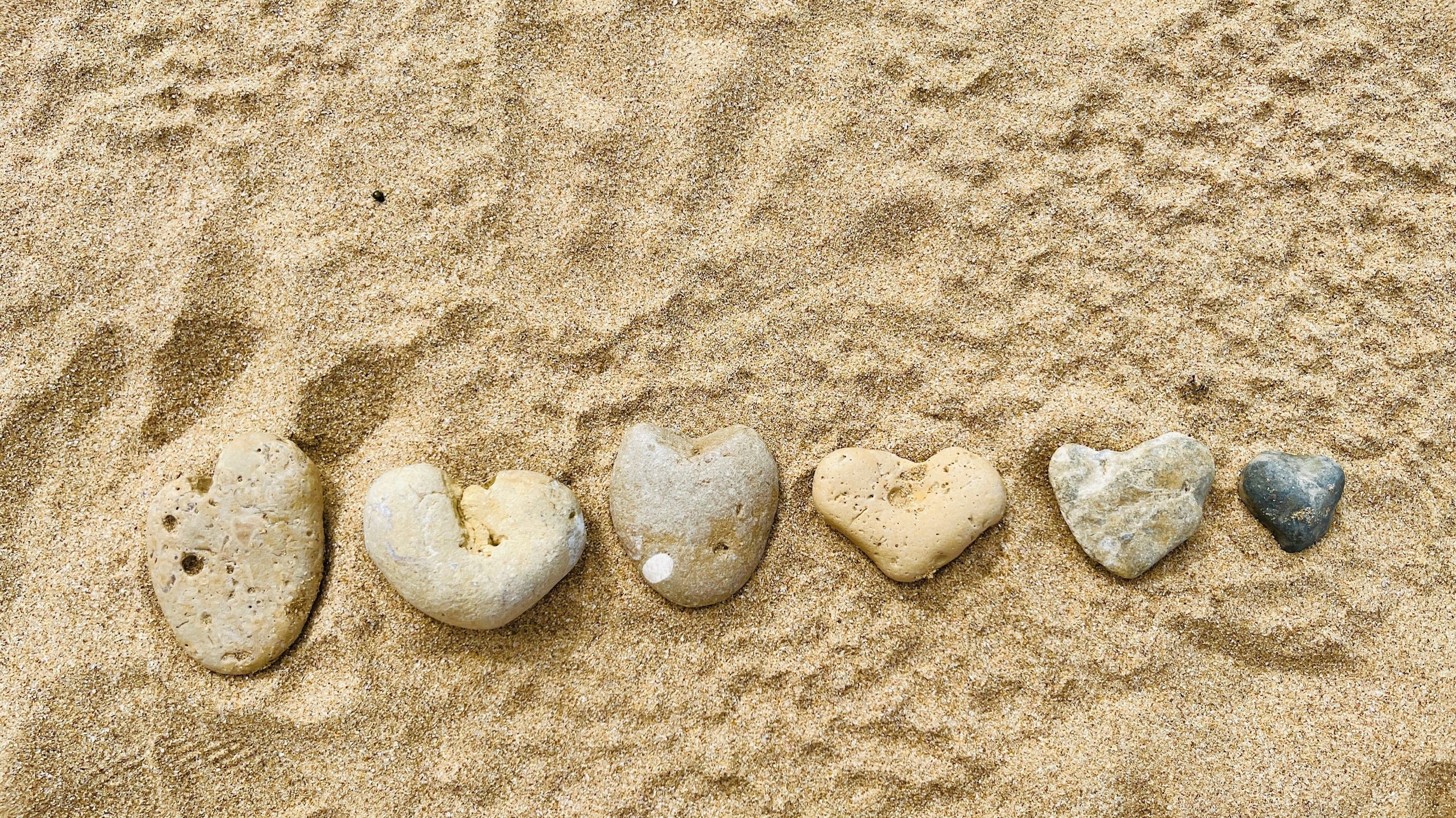 Press Play | Sun and Sea - elsie green