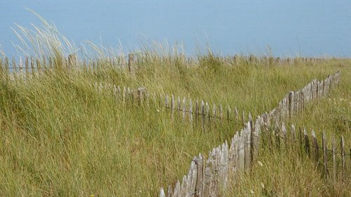 Press Play | Sunny Daze Autumn Haze - elsie green