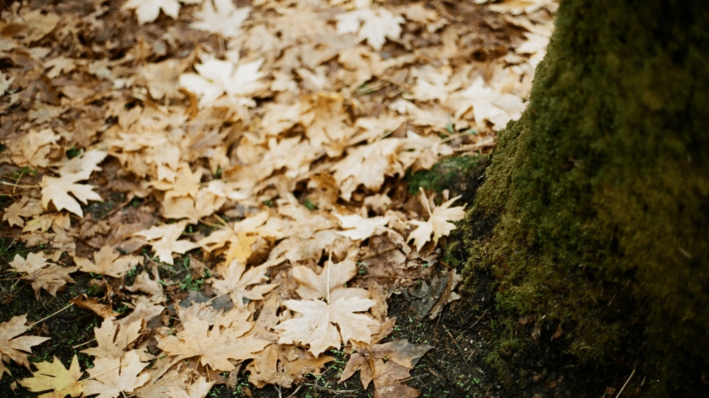 Press Play | Sweater Weather - elsie green