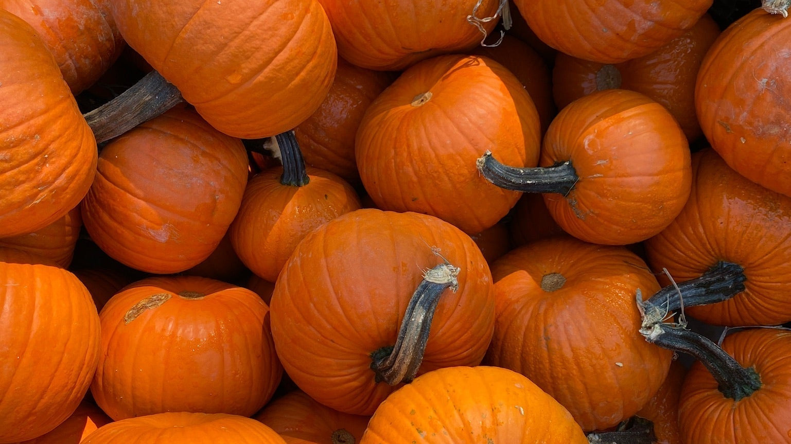 Press Play | Witchy Energy - elsie green