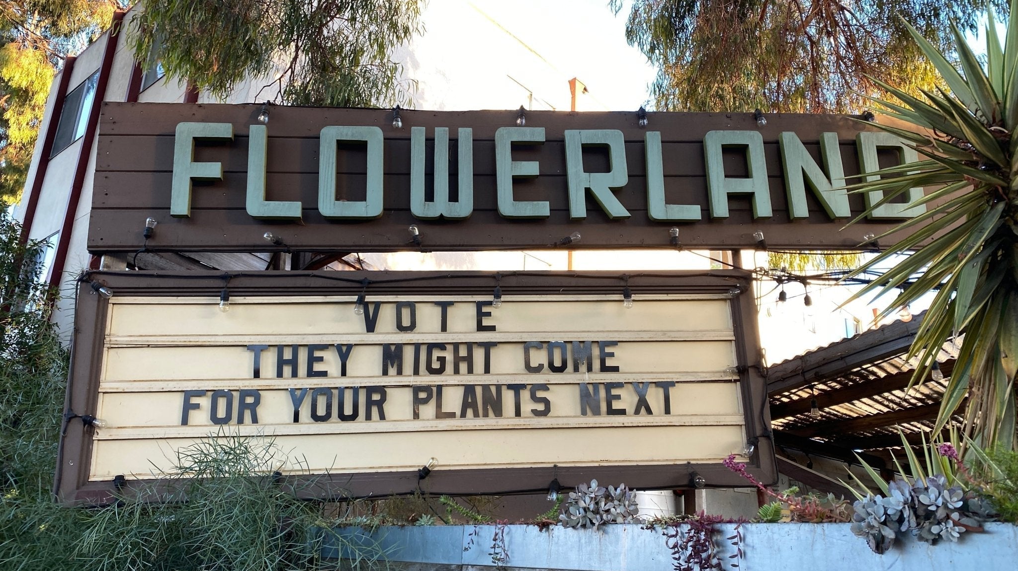 Rooted in Beauty | Carly Dennett of Flowerland - elsie green